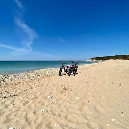 Les Quatre Chenes, House, Vert-bois D'oleron Villa Dolus d'Oléron