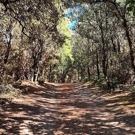 Les Quatre Chenes, House, Vert-bois D'oleron Dolus d'Oléron